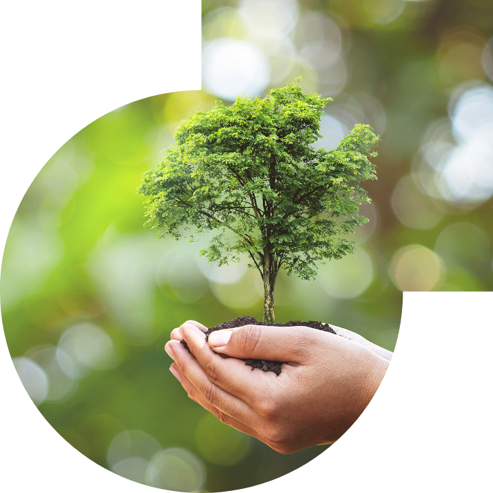 關懷人類、文化、環境與社會